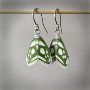 Loistokaapuyökkönen